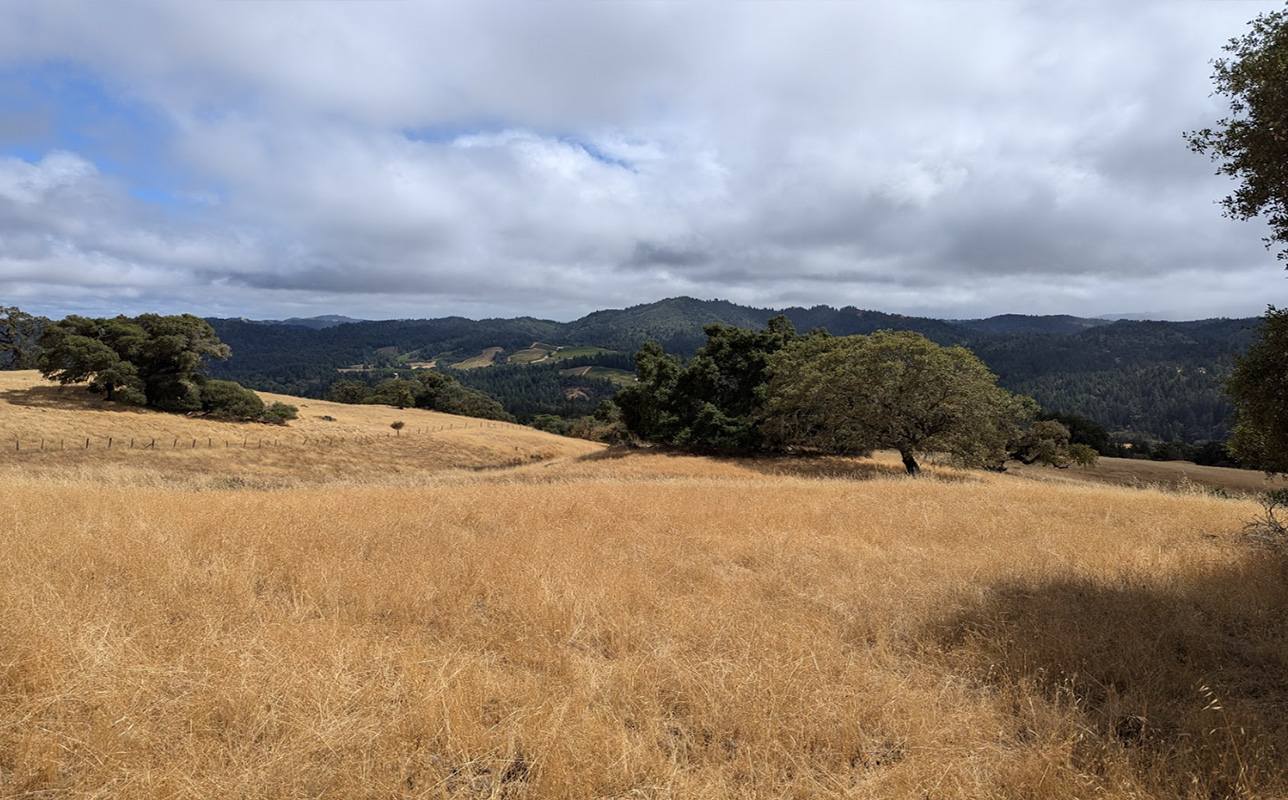 Vast Valley View