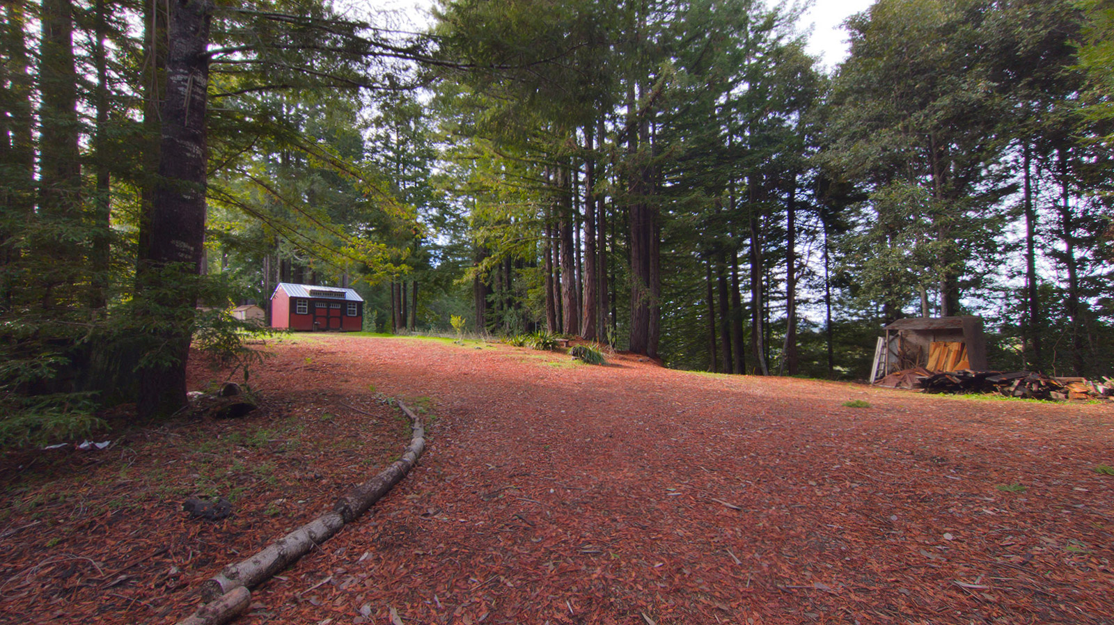 Ridgetop Saddle Acres