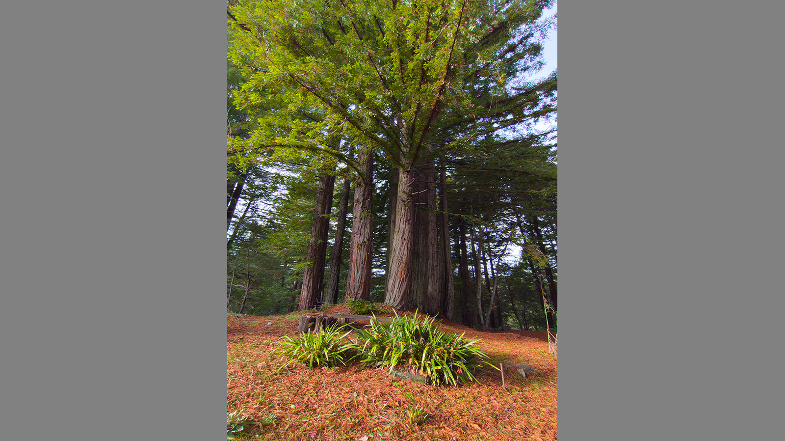 Best Real Estate Services