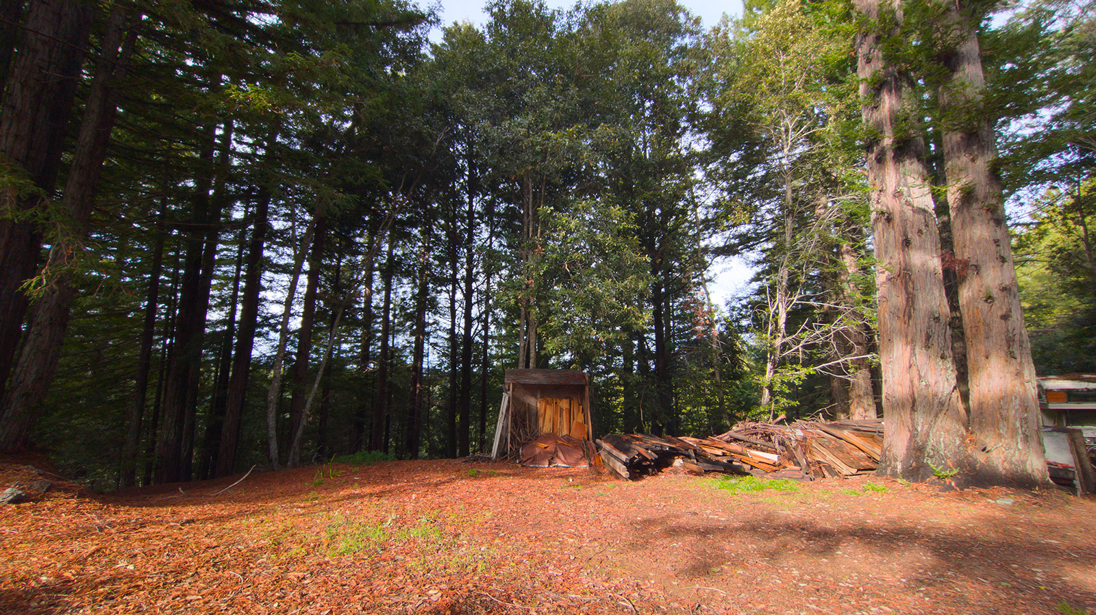 Best Real Estate Services