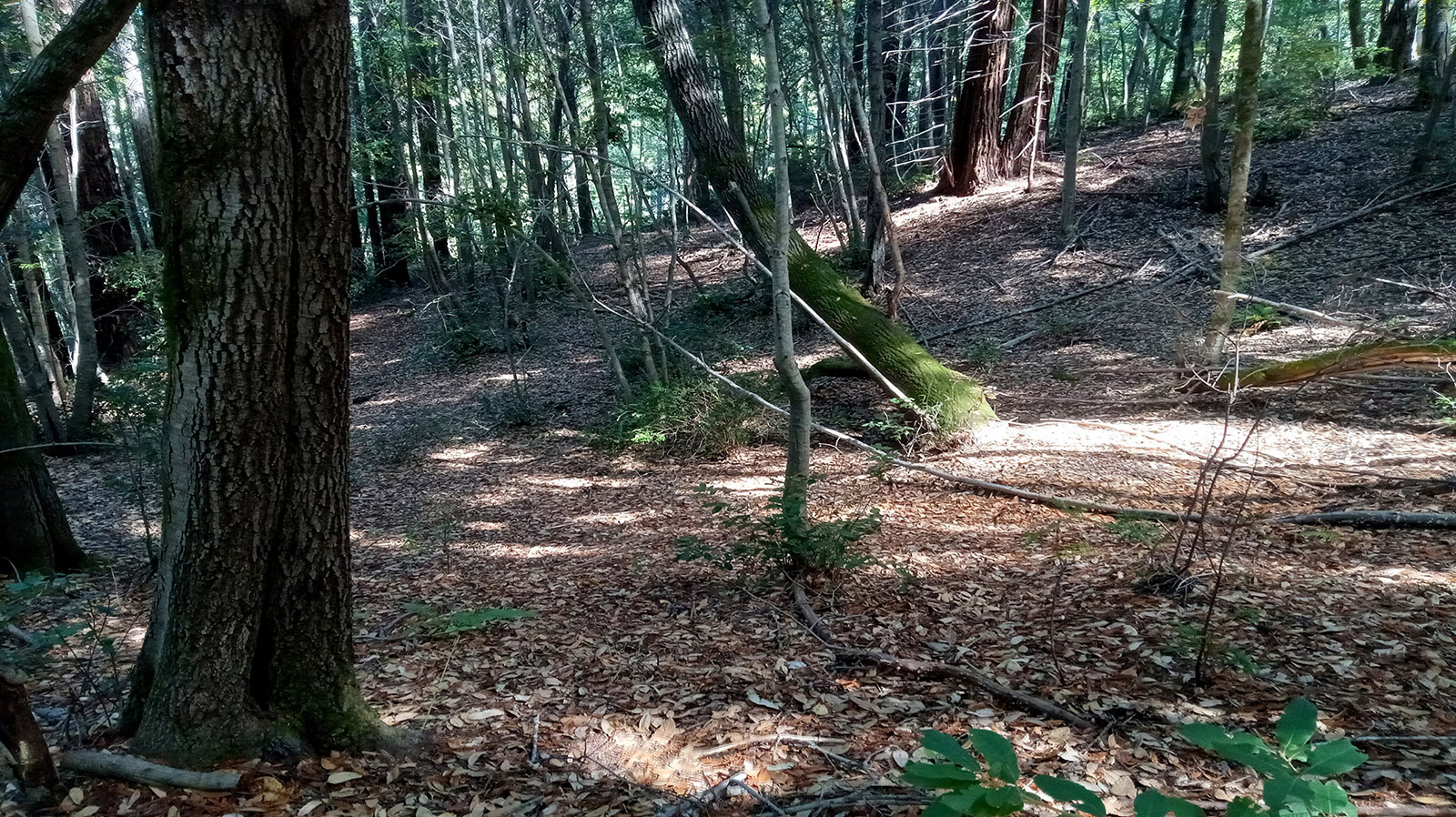 Best Real Estate Services